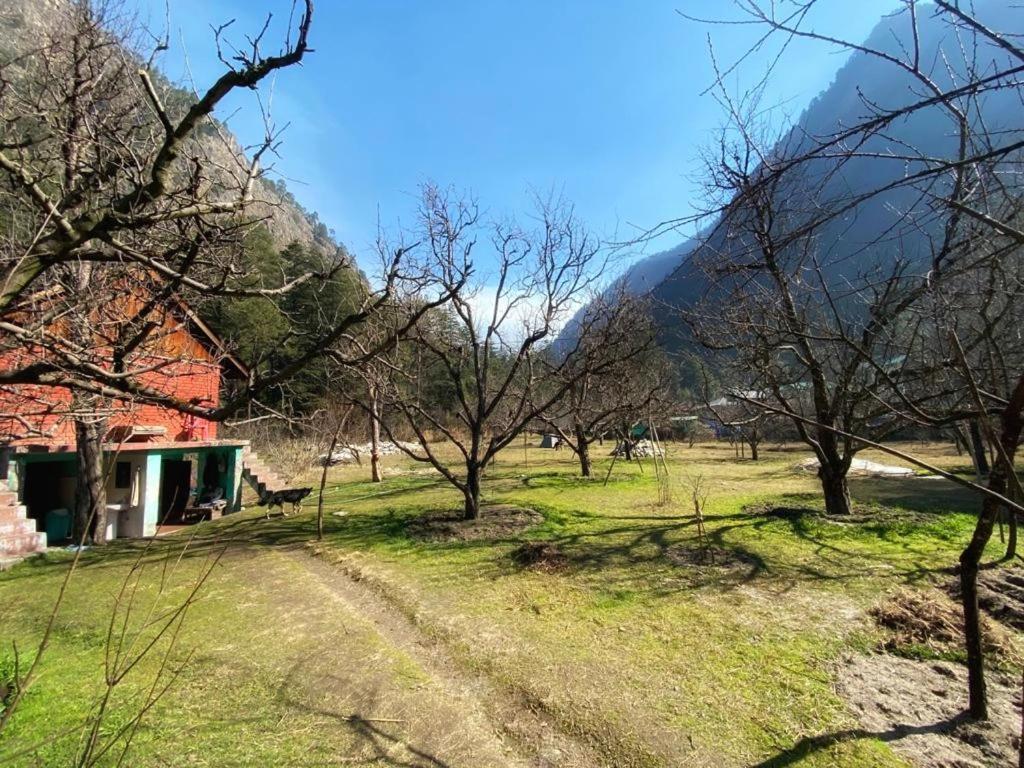 The Royal Orchard Kasol Ξενοδοχείο Εξωτερικό φωτογραφία