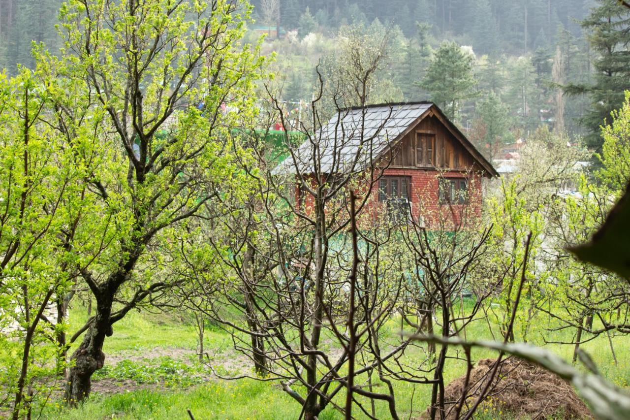 The Royal Orchard Kasol Ξενοδοχείο Εξωτερικό φωτογραφία