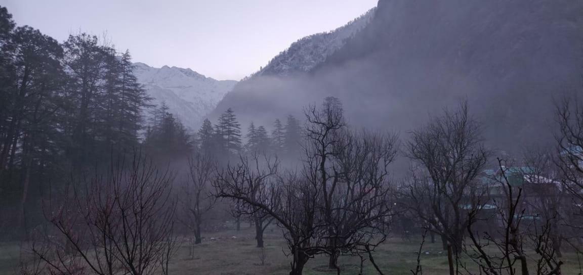 The Royal Orchard Kasol Ξενοδοχείο Εξωτερικό φωτογραφία