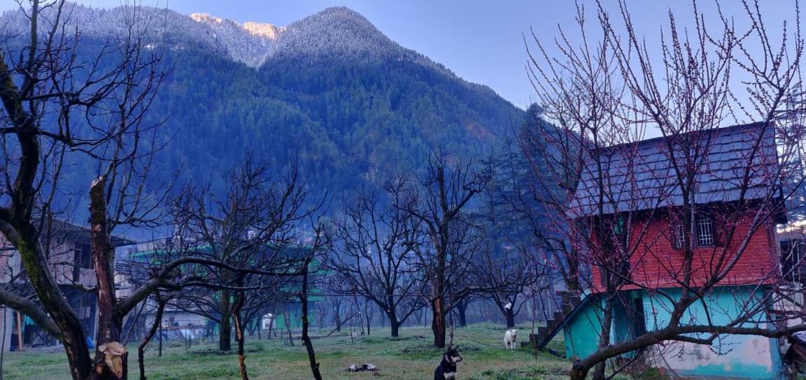 The Royal Orchard Kasol Ξενοδοχείο Εξωτερικό φωτογραφία